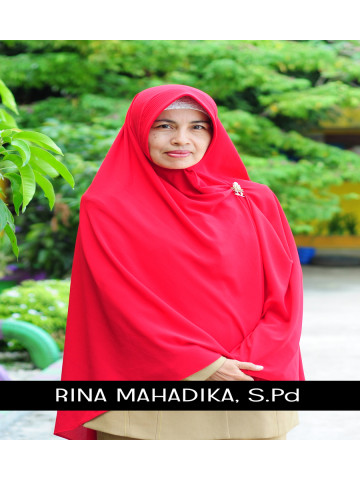 rina, s.kom.